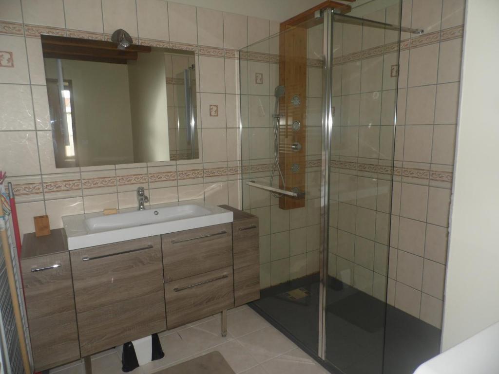 une salle de bain avec un lavabo et une douche dans l'établissement gîte " L'Albizia", à Prissac 12 autres photos