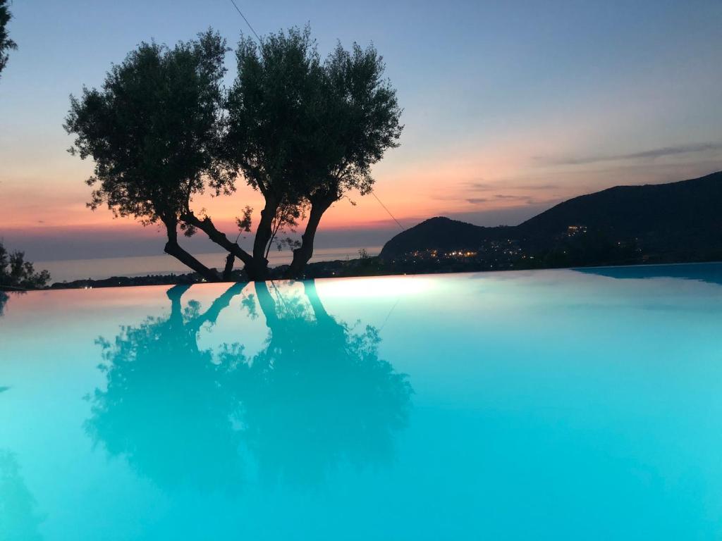 un arbre assis au milieu d'une piscine dans l'établissement Residence Serrone, à Santa Maria di Castellabate