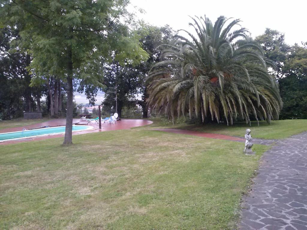 LASAILEKU Image