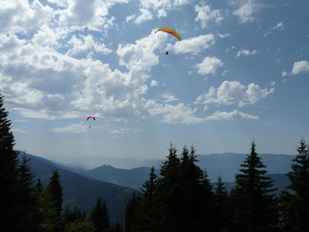 Deux cerfs-volants volent dans le ciel au-dessus des montagnes dans l'établissement Appartements Le Clos des Gentianes, à Allevard