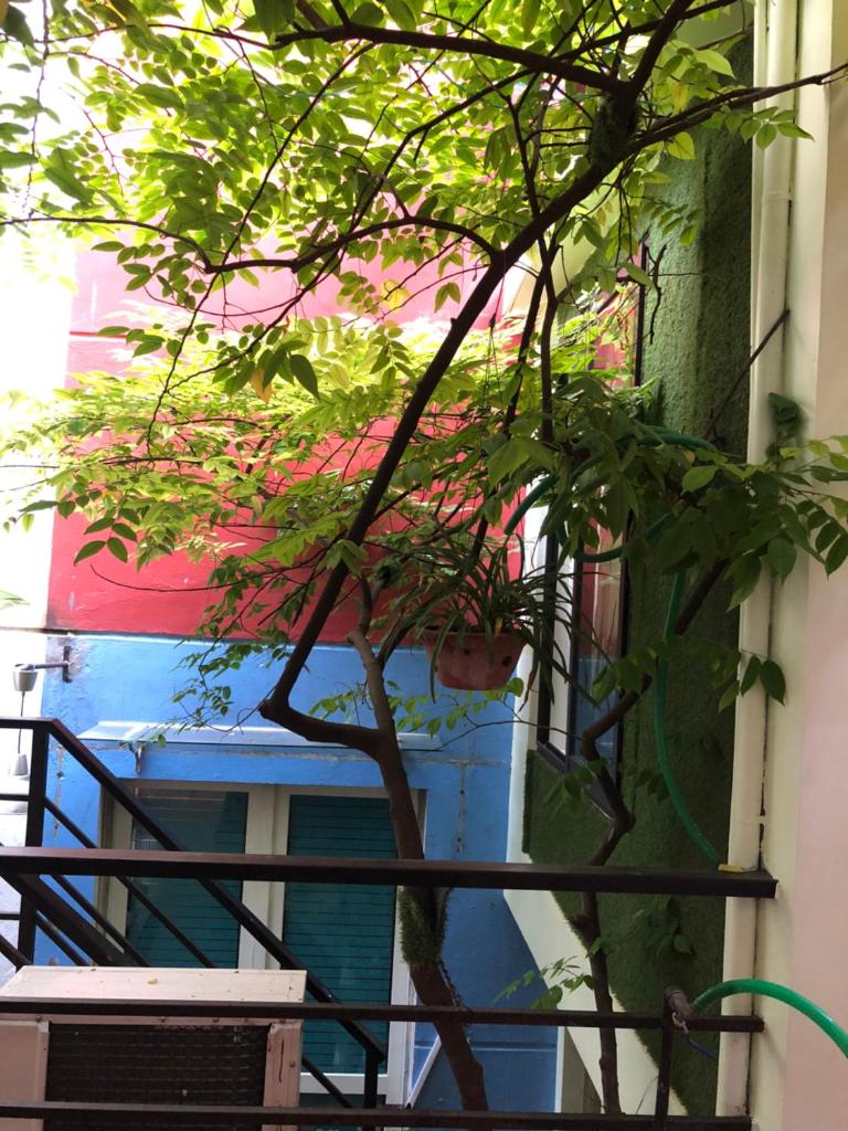 La ventana mordern house