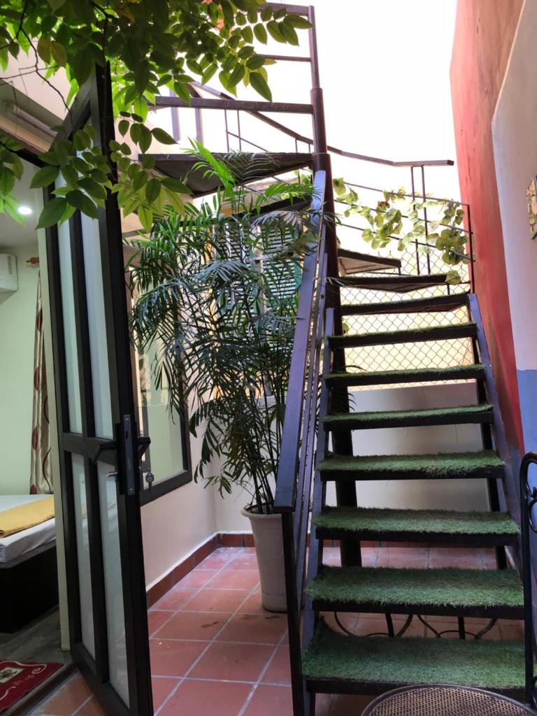 La ventana mordern house