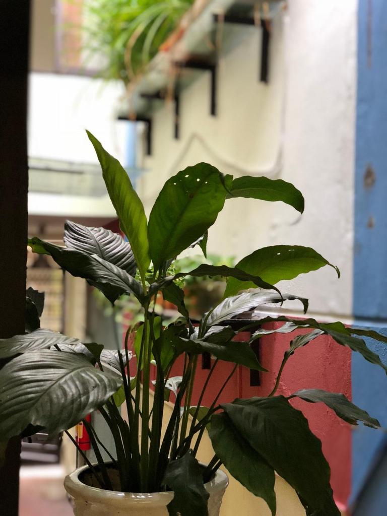 La ventana mordern house