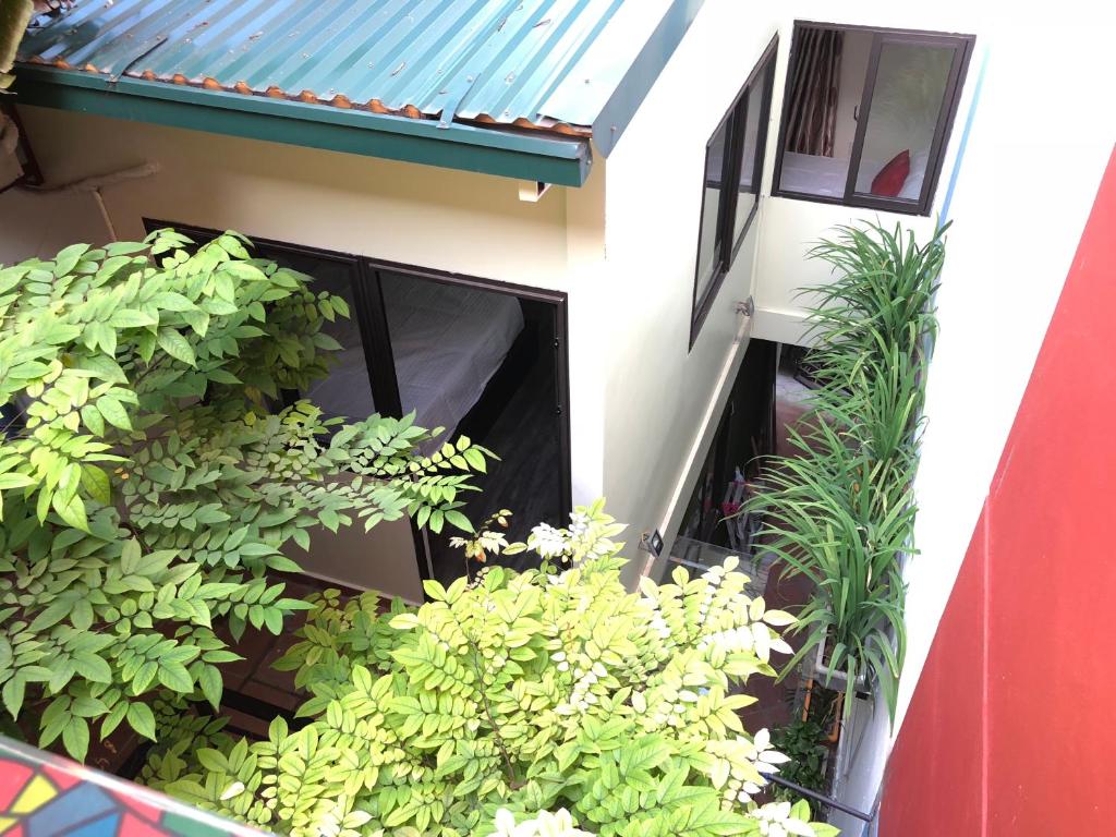 La ventana mordern house