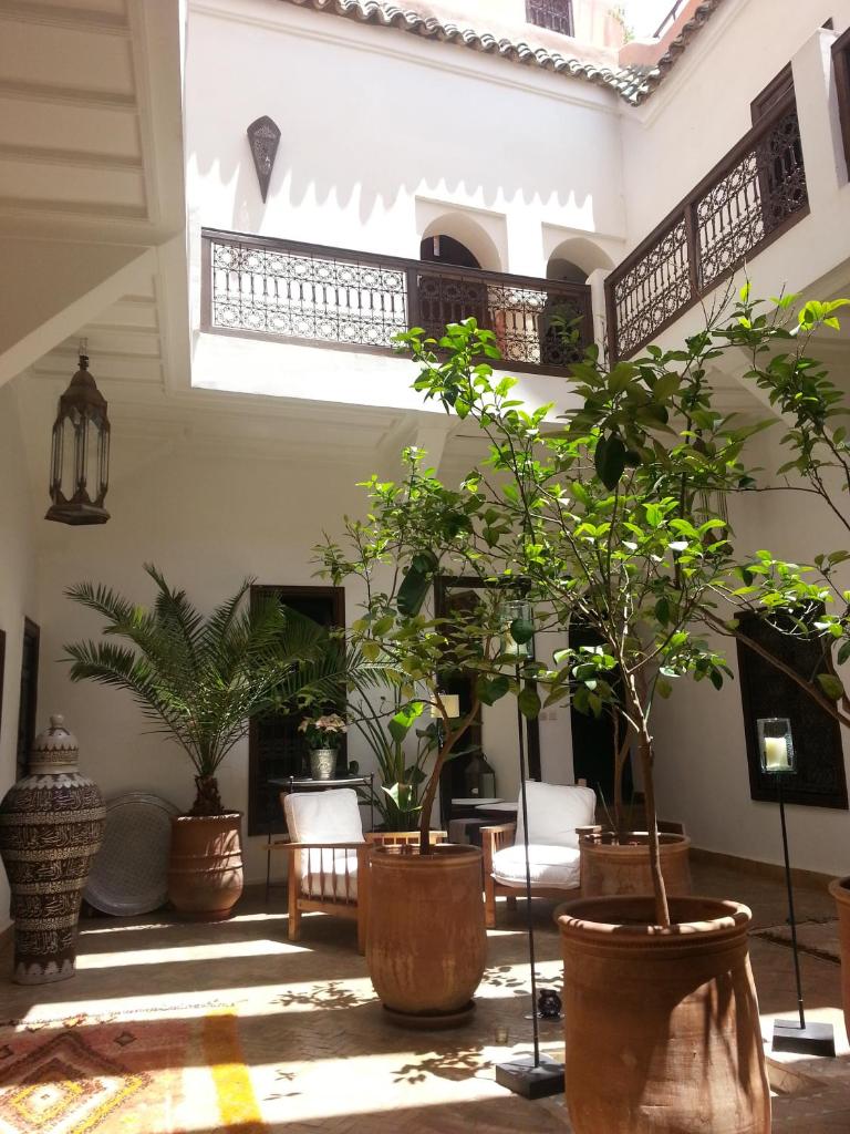 une chambre avec de nombreuses plantes en pot dans un bâtiment dans l'établissement Riad AZZA, à Marrakech 37 autres photos
