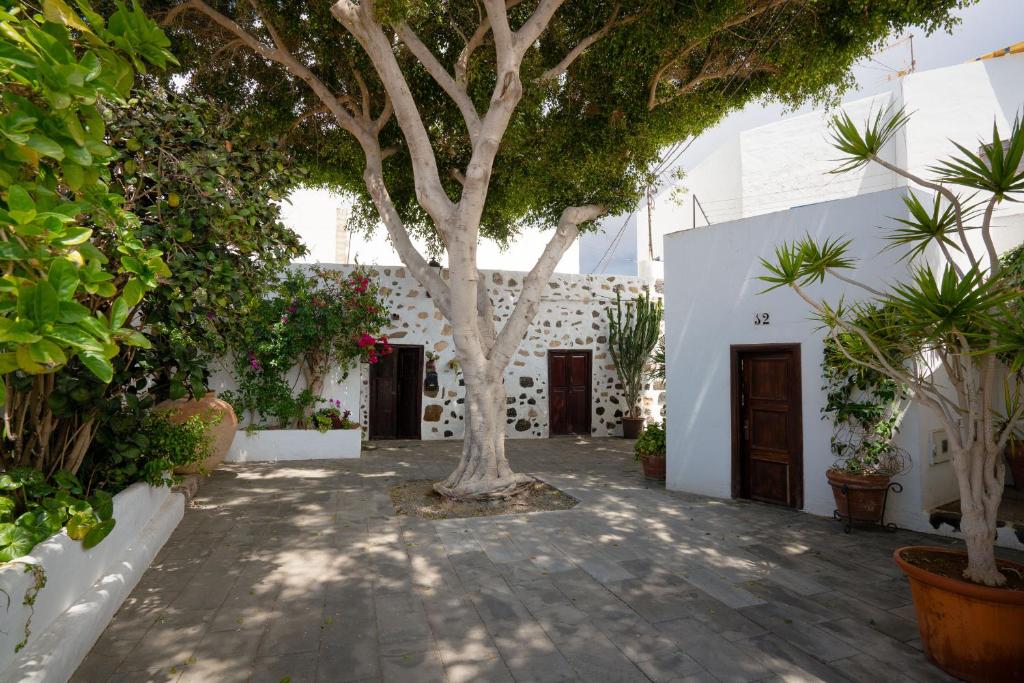 Casa del Puerto 6