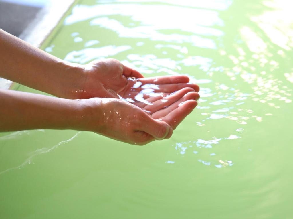 une personne se lavant les mains dans un bassin d'eau dans l'établissement Hotel Ichibokaku, à Yamanouchi