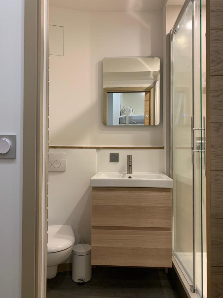 une salle de bain avec un lavabo, des toilettes et un miroir dans l'établissement Studio des Cintes Blanques, à Aragnouet