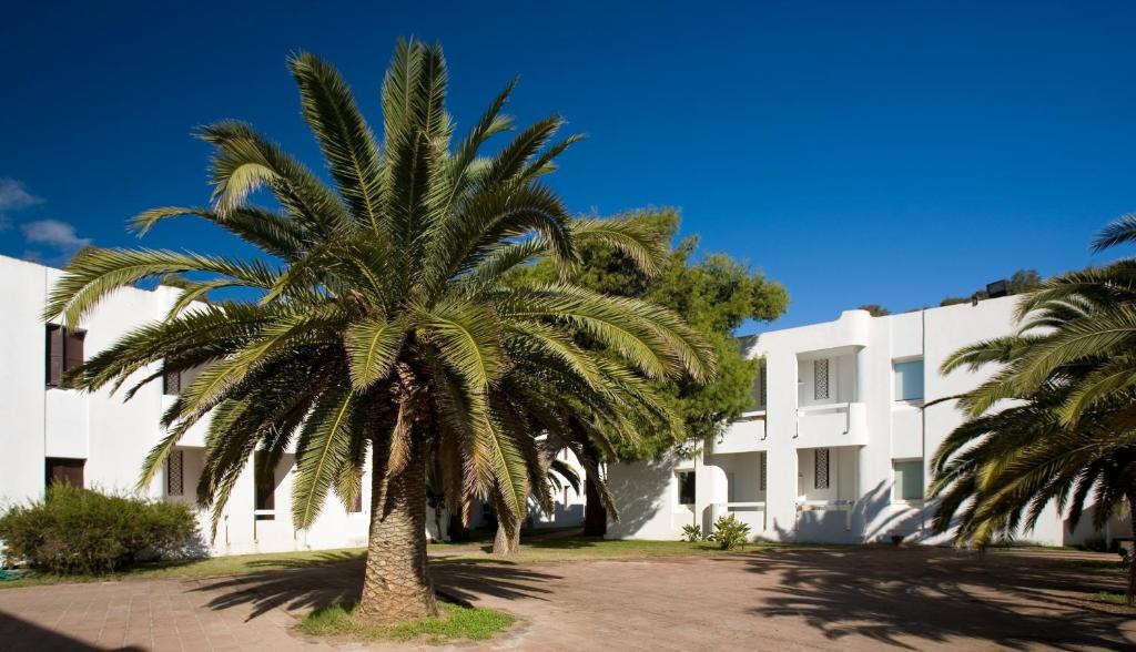 un palmier devant un bâtiment blanc dans l'établissement Hotel Flamingo, à Santa Margherita di Pula