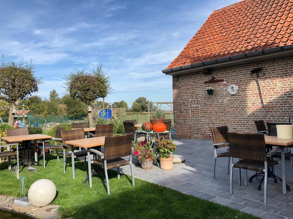 Hove Ter Hille 7