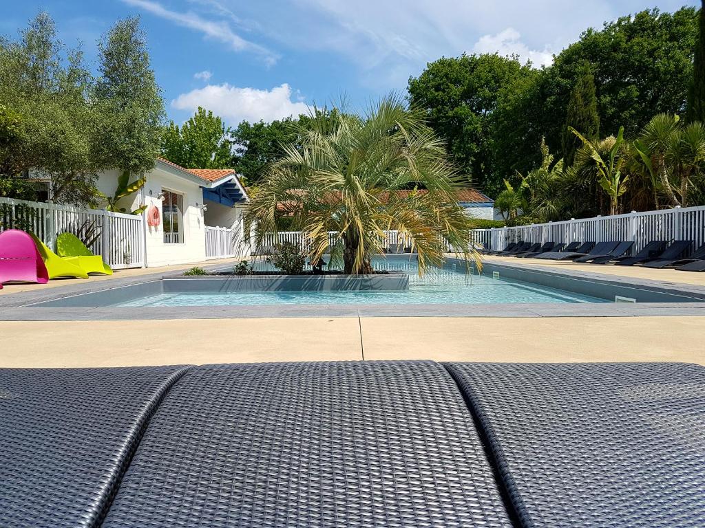 une piscine avec des palmiers et une clôture blanche dans l'établissement Camping le Marache, à Biganos