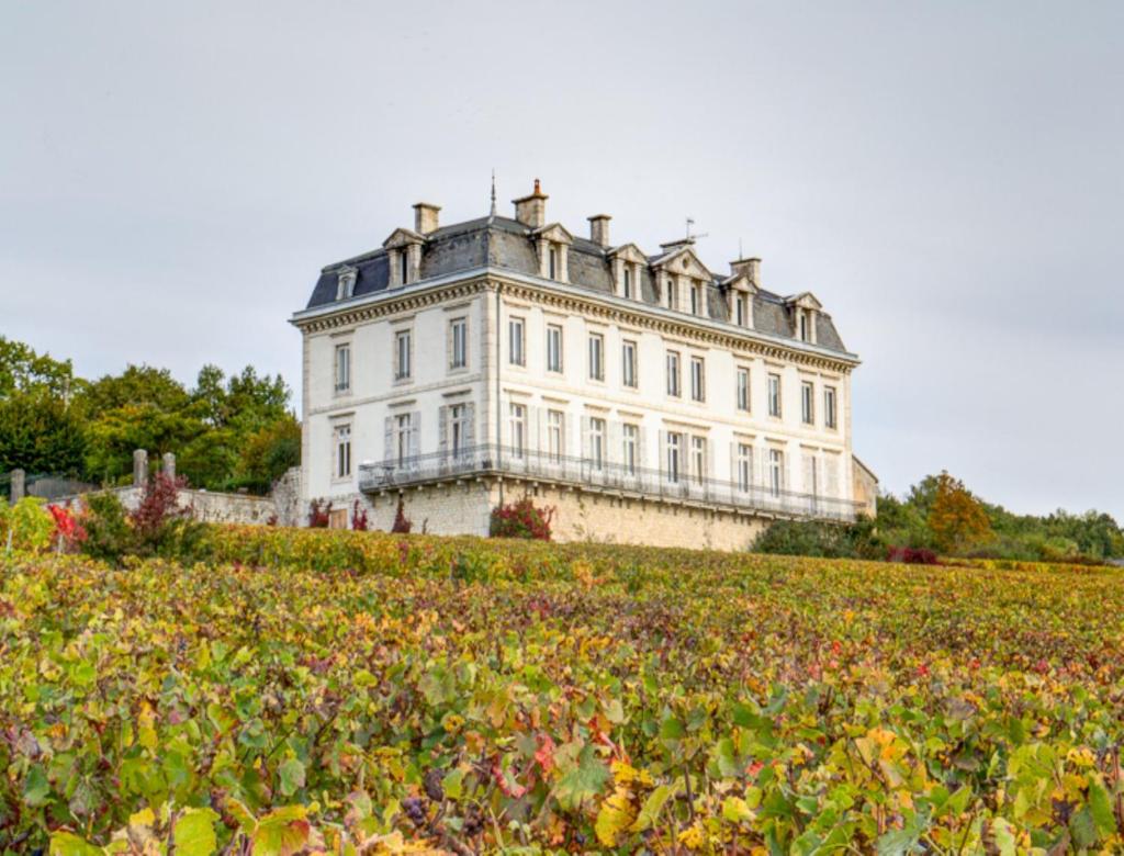 Gites Chateau Comblanchien 6