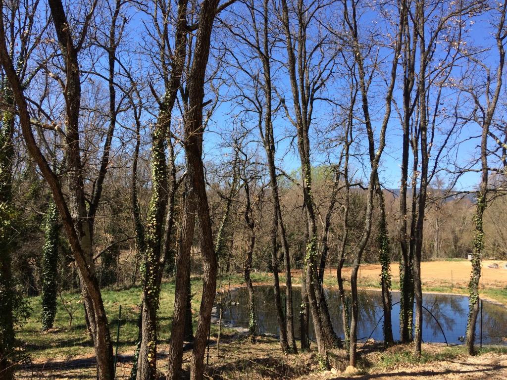 un groupe d'arbres et un étang dans un champ dans l'établissement Mobil Home à la ferme, en Provence, à Grambois 6 autres photos