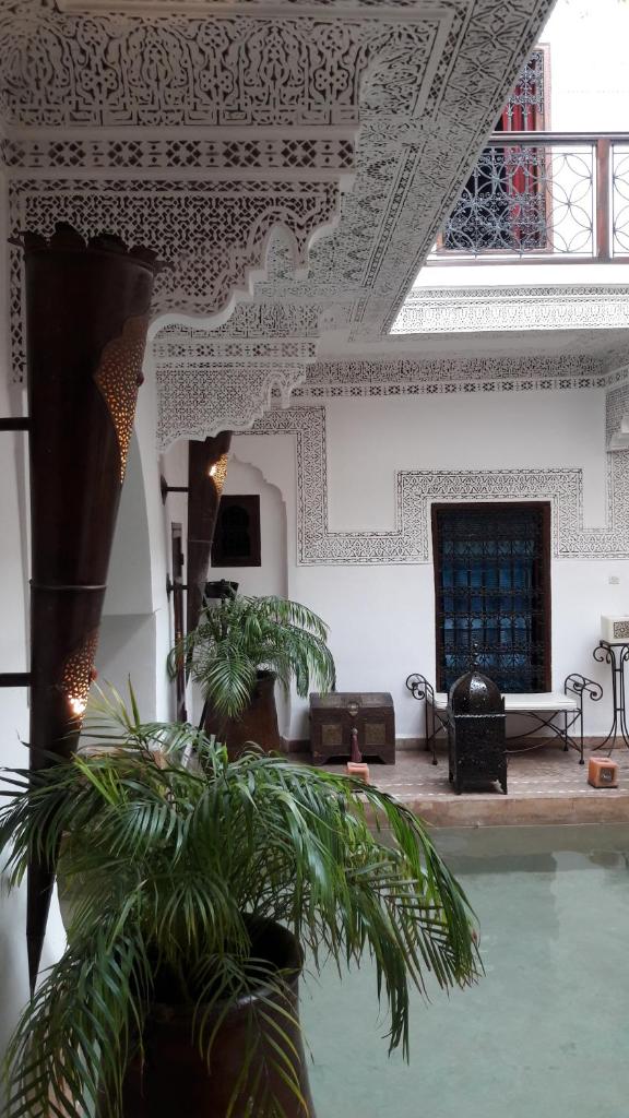 un salon avec une plante en pot et un plafond dans l'établissement Riad Les Nuits de Marrakech, à Marrakech