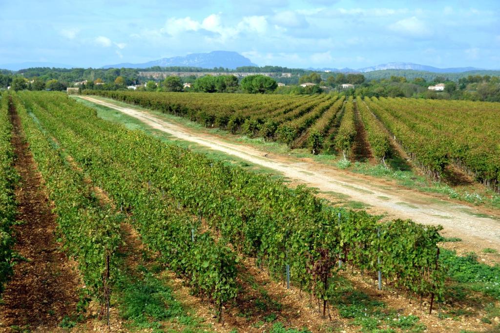 Domaine du Mas du Pont 3
