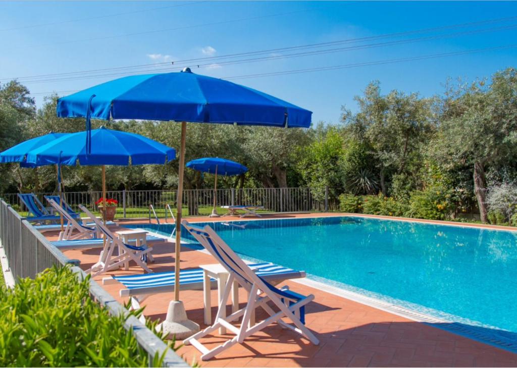 - une piscine avec des parasols bleus et des chaises longues dans l'établissement Suite Agave, à Seravezza