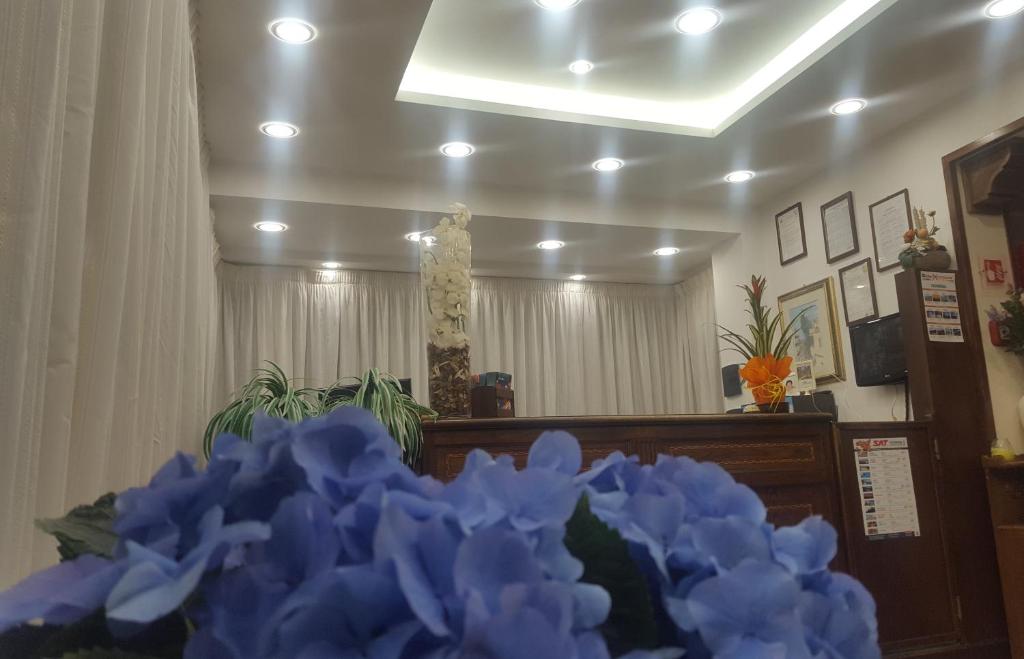 une pile de fleurs bleues assises dans une pièce dans l'établissement Hotel Soleado, à Taormine 105 autres photos
