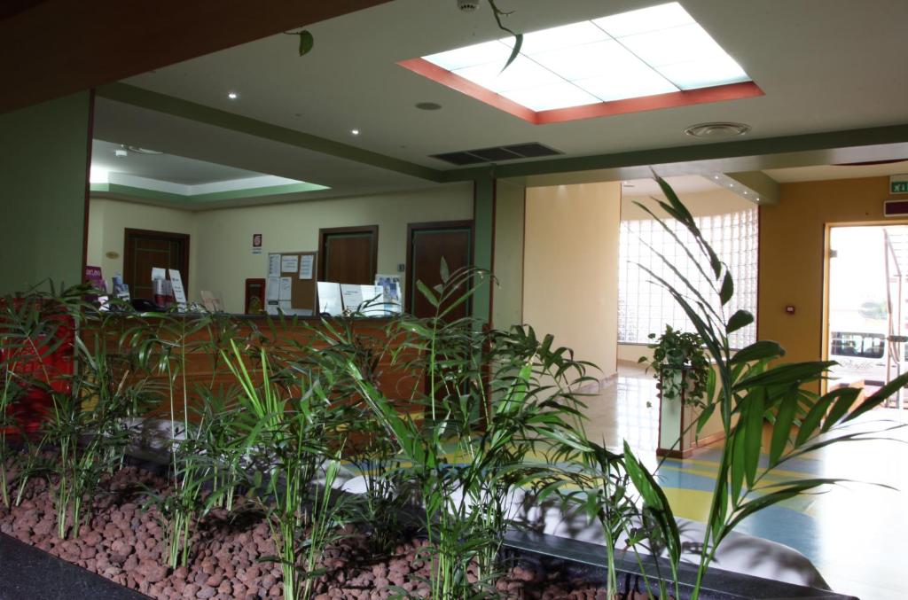 un bureau avec des plantes au milieu d'une pièce dans l'établissement Hotel Resort Il Panfilo, à Lago Patria 34 autres photos