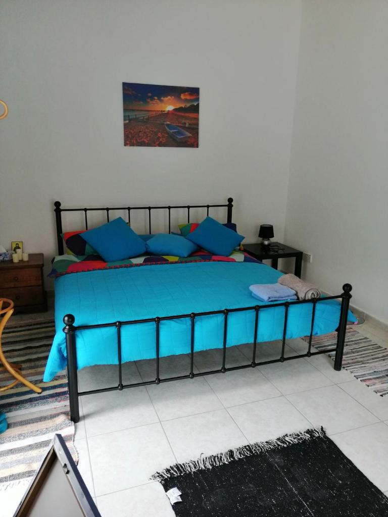 Alekas Pool and Garden Home 7