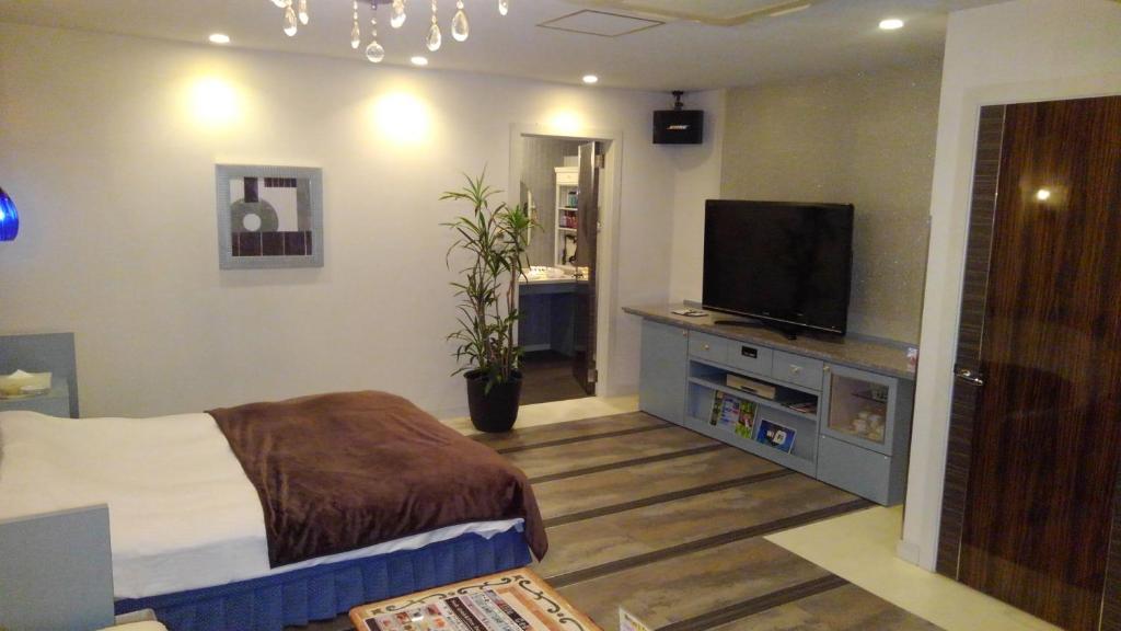 une chambre avec un lit et une télévision à écran plat dans l'établissement ホテルヴィラコスタ Adult Only 男塾ホテルグループ, à Hikone