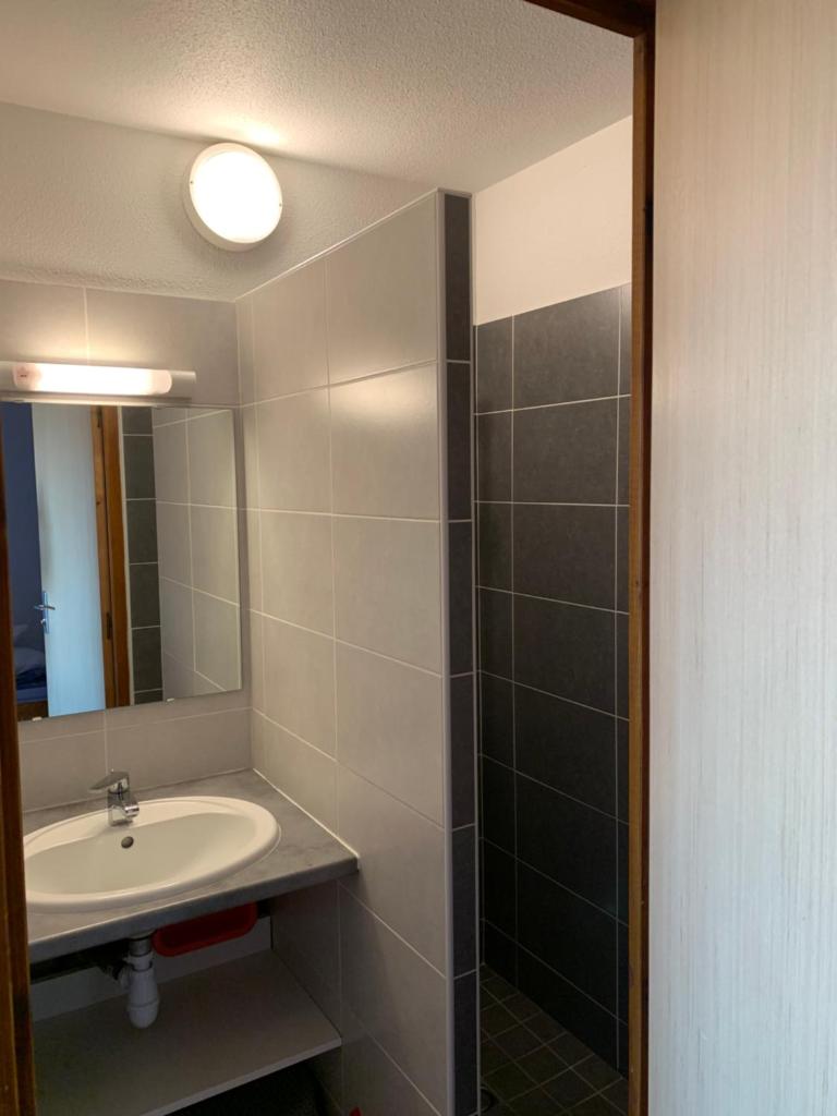 une salle de bain avec un lavabo et un miroir dans l'établissement Résidence Les Ecrins, à Ancelle