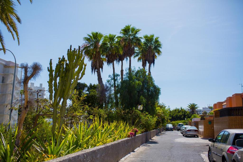 Calle Lanzarote 29C 6
