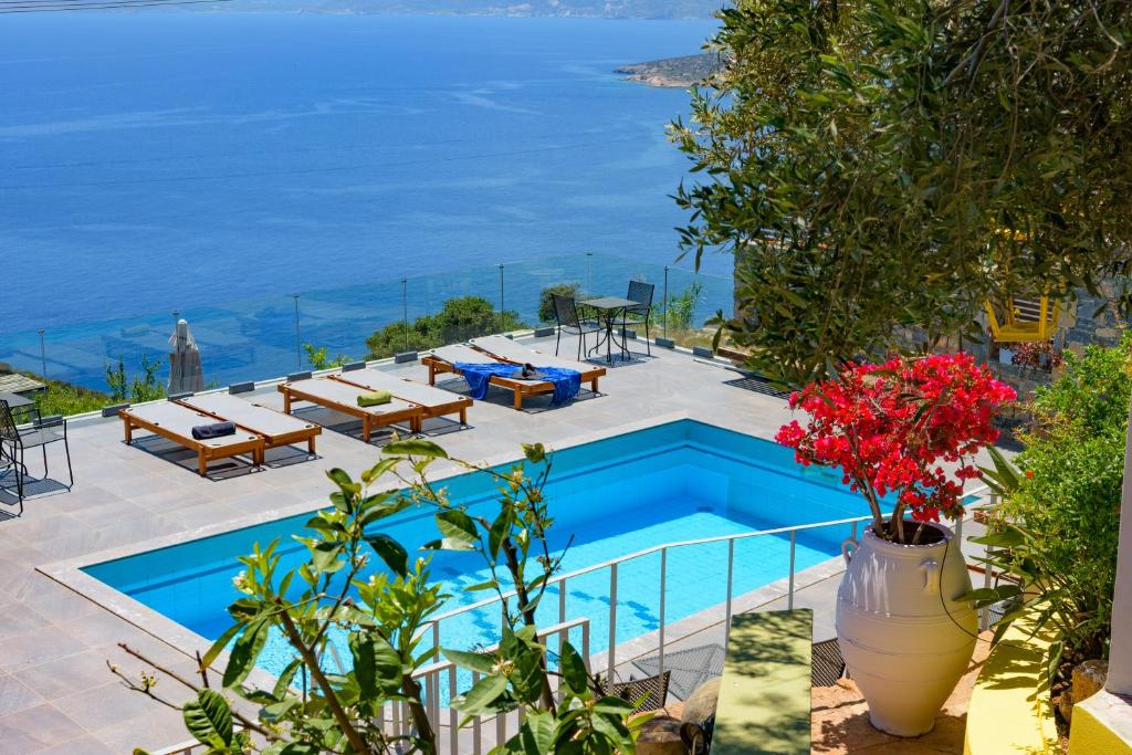 Villa Olga 8