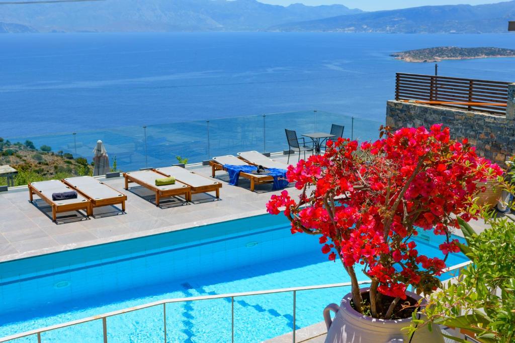 Villa Olga 7
