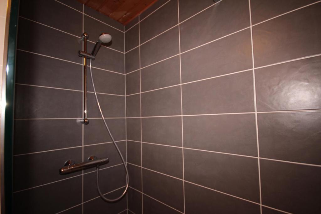 une salle de bain avec douche aux carreaux gris dans l'établissement Appt 4/5 pers. Les Saisies front de neige, aux Saisies 5 autres photos
