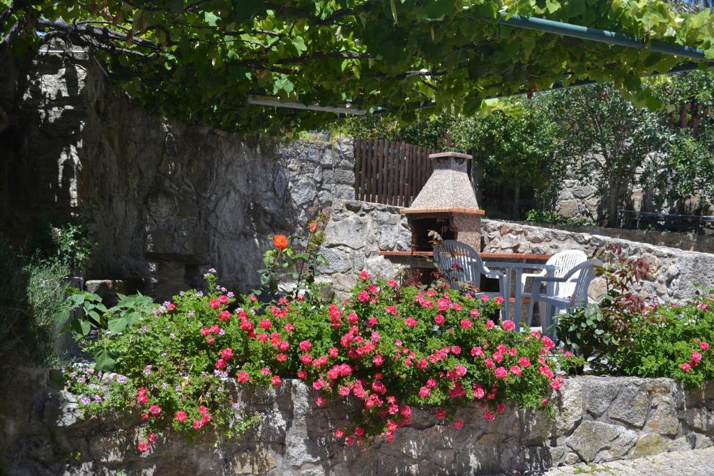 Quinta do Real - Casa de Campo 5
