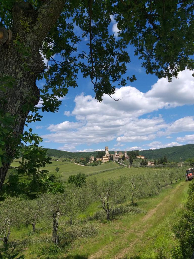 - une vue sur une ferme depuis un champ planté d'arbres dans l'établissement Chiantivillas Poggio a Vento, à Badia A Passignano