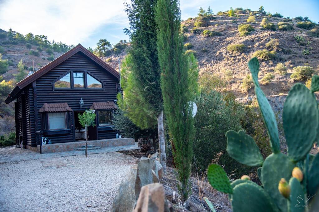 *2 bdr log house /mountains/Queen bed/fireplace 6
