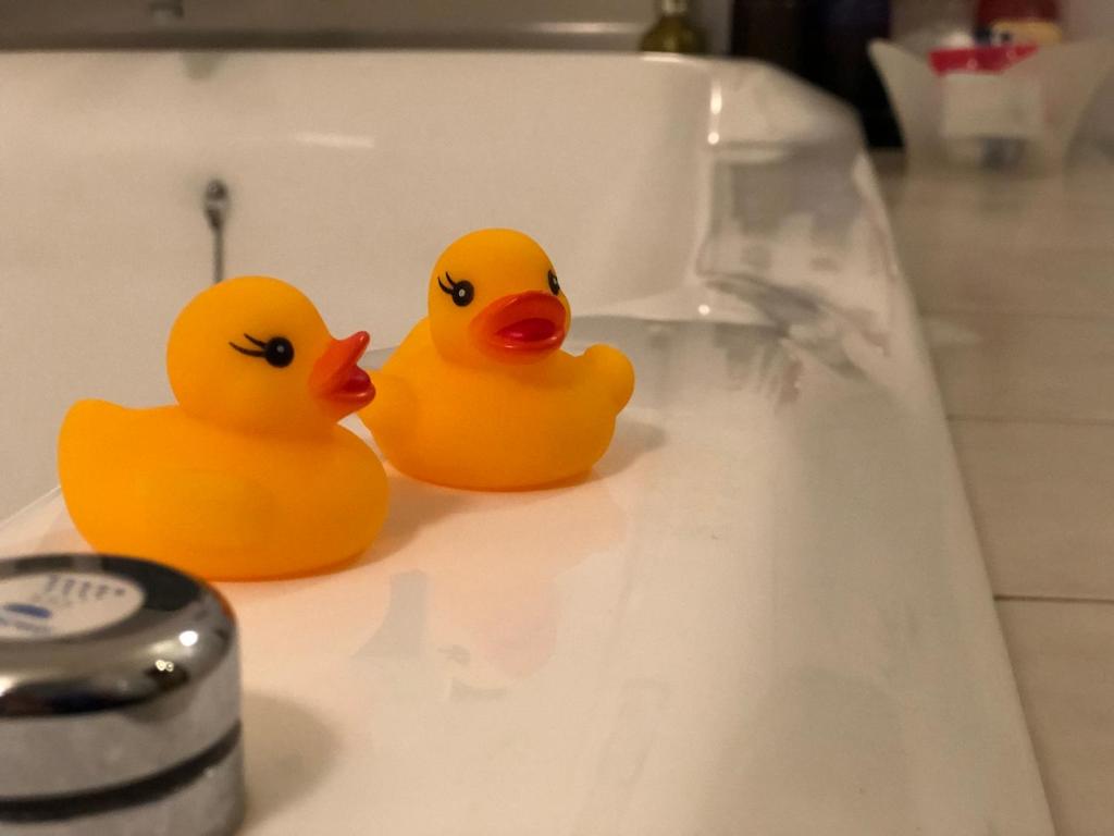 2 canards en caoutchouc assis au-dessus d'un lavabo dans la salle de bains dans l'établissement Restay Mito (Adult Only), à Mito