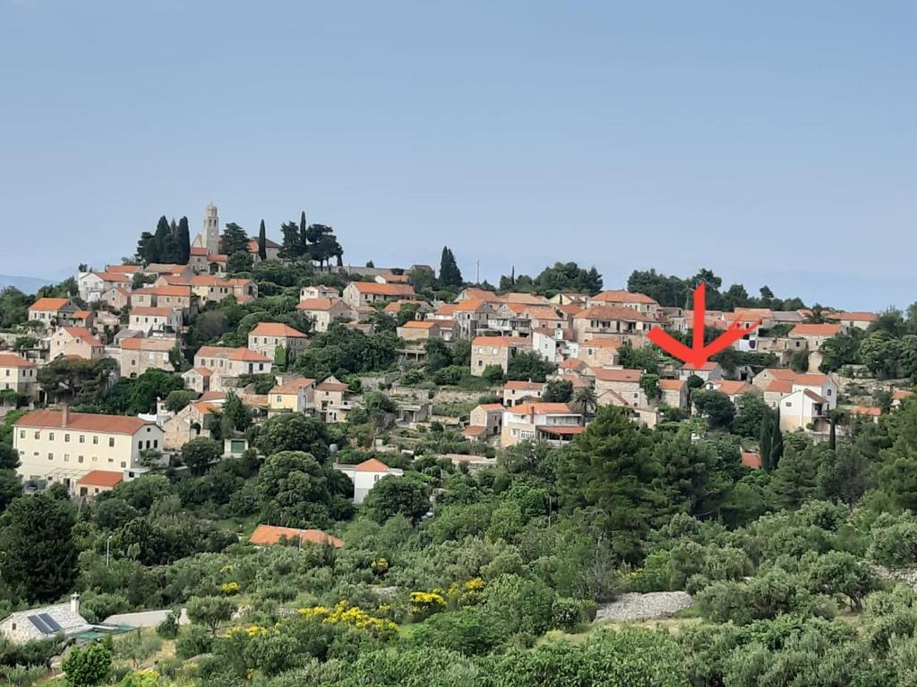 Kuća za odmor Dobrila 3