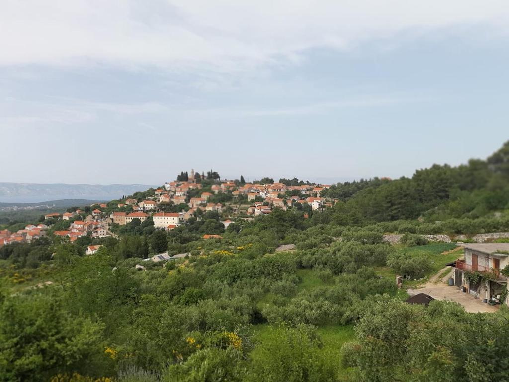 Kuća za odmor Dobrila 4