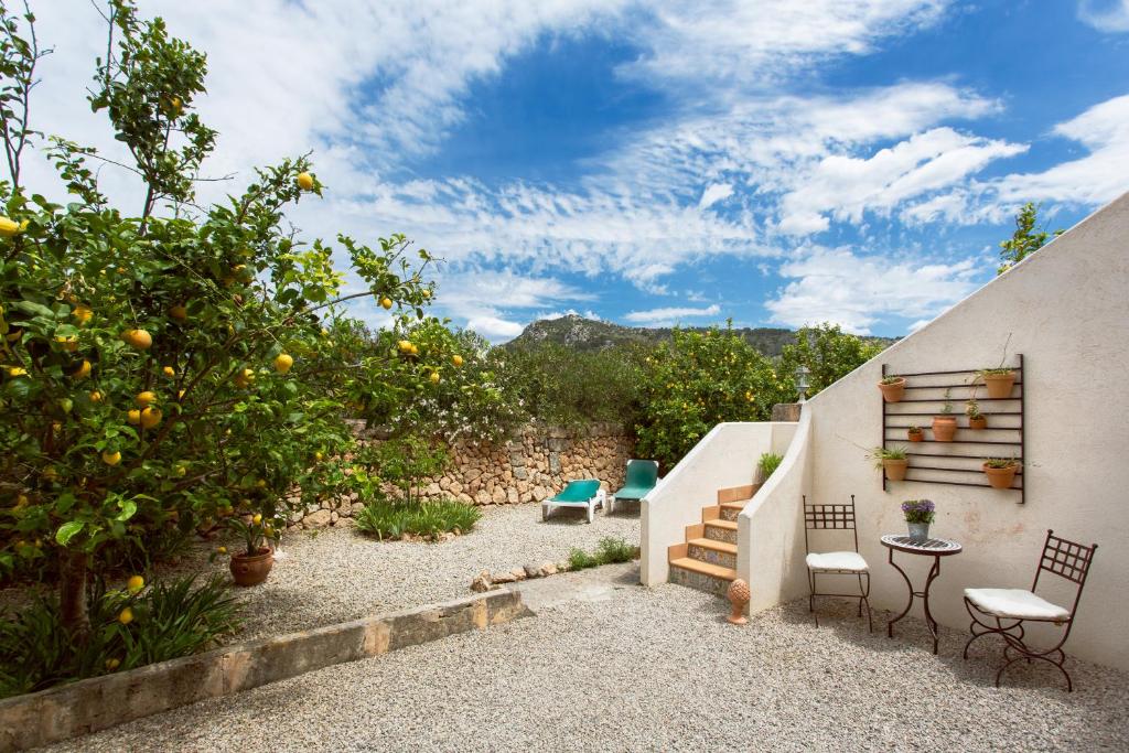 Finca Can Paulino 5