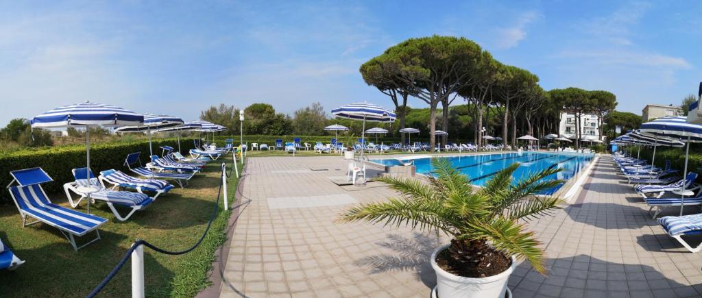 une piscine avec des chaises, des parasols et un palmier dans l'établissement Hotel King, à Lido di Jesolo