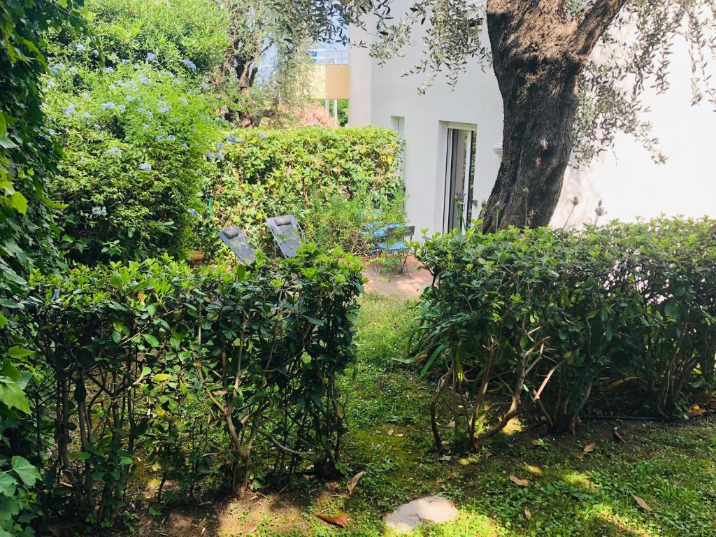 Studio plage parking et proche vieil antibes 8