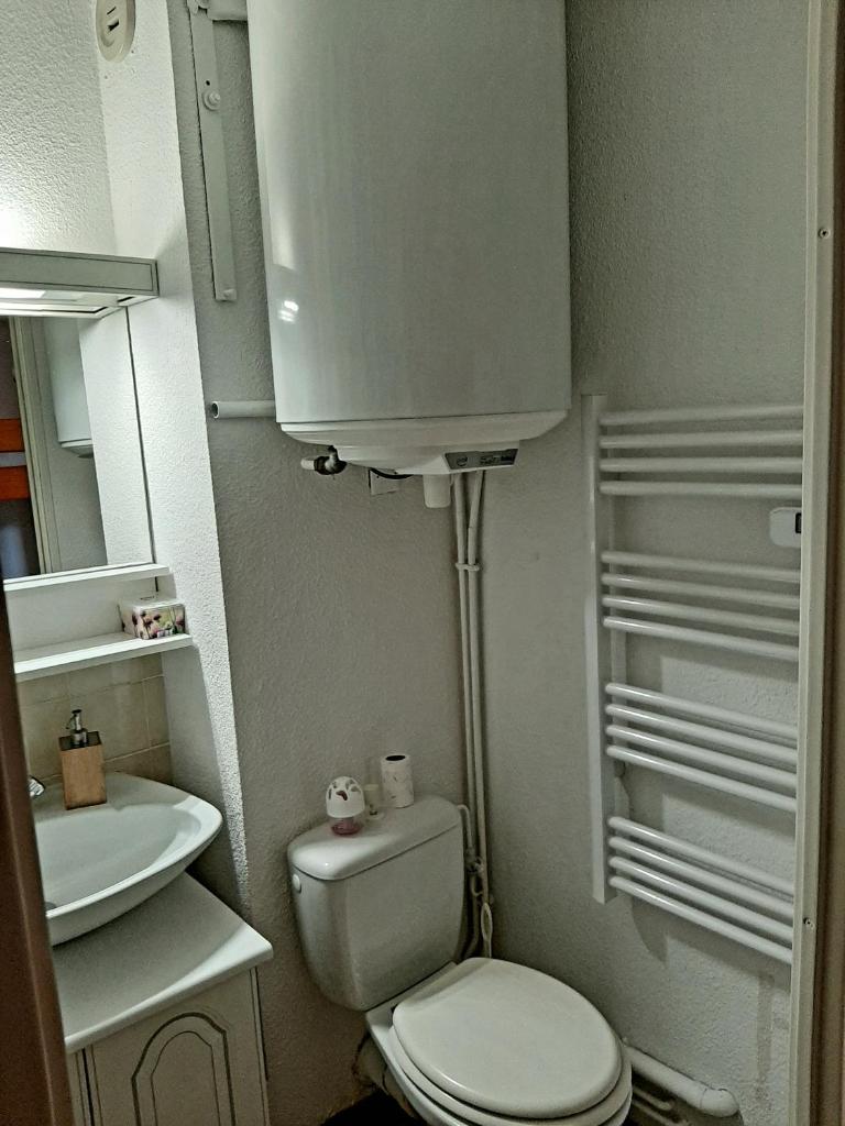 une petite salle de bain avec toilettes et lavabo dans l'établissement Appartement MANA, à Bernex 9 autres photos