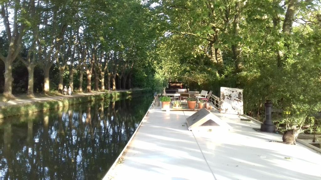 un bateau sur une rivière avec des arbres sur le côté dans l'établissement studio sur péniche La Tortue, à Ramonville-Saint-Agne 2 autres photos