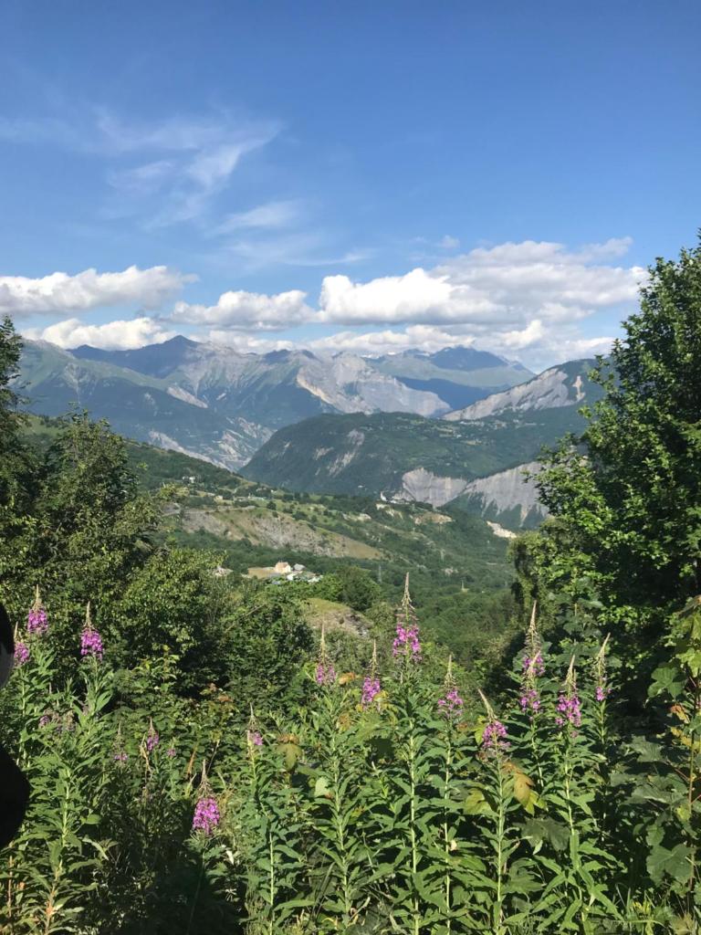 Elle offre une vue sur une vallée avec des montagnes et des fleurs. dans l'établissement Studio 22m² balcon Pégase Phenix Le Corbier, au Corbier 11 autres photos