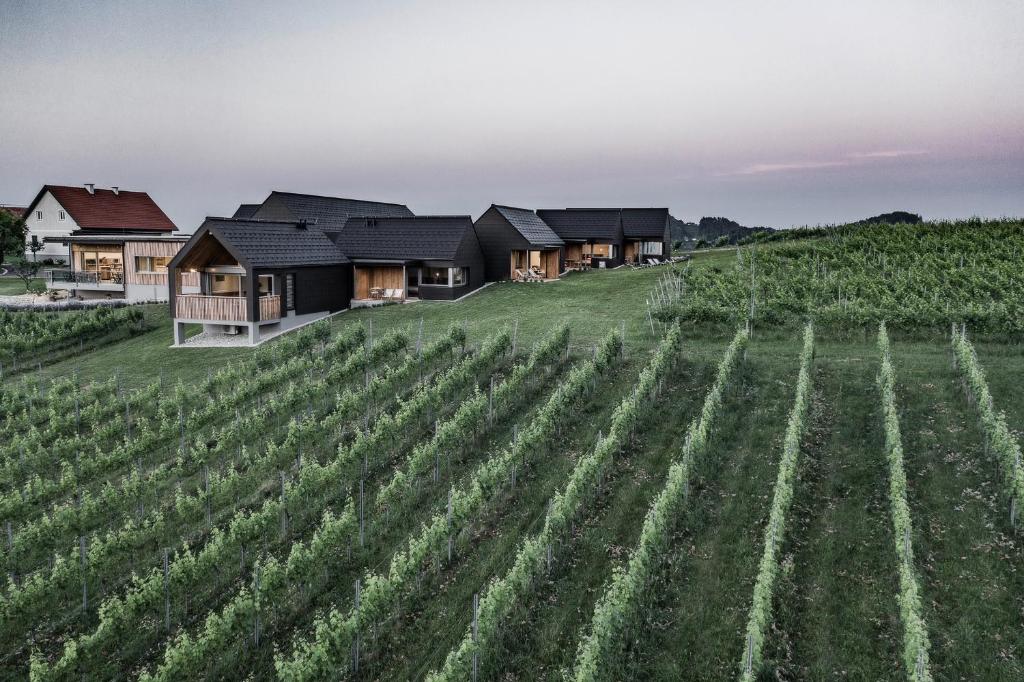 Weingut & Winzerhäuser Skringer 2