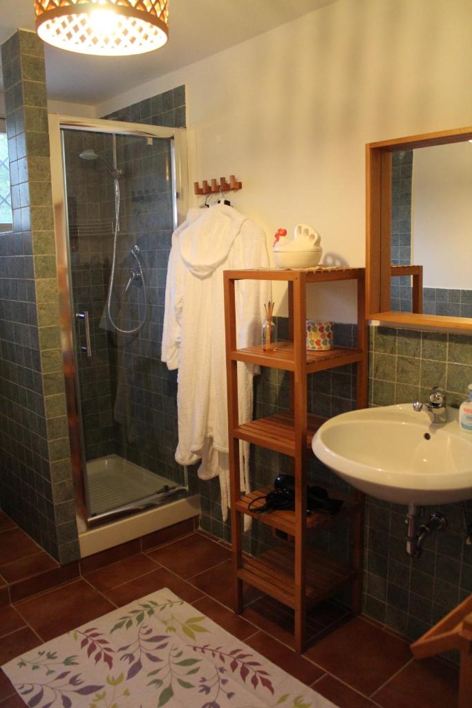 une salle de bain avec douche et lavabo dans l'établissement Poggio in fiore, à Poggio Catino