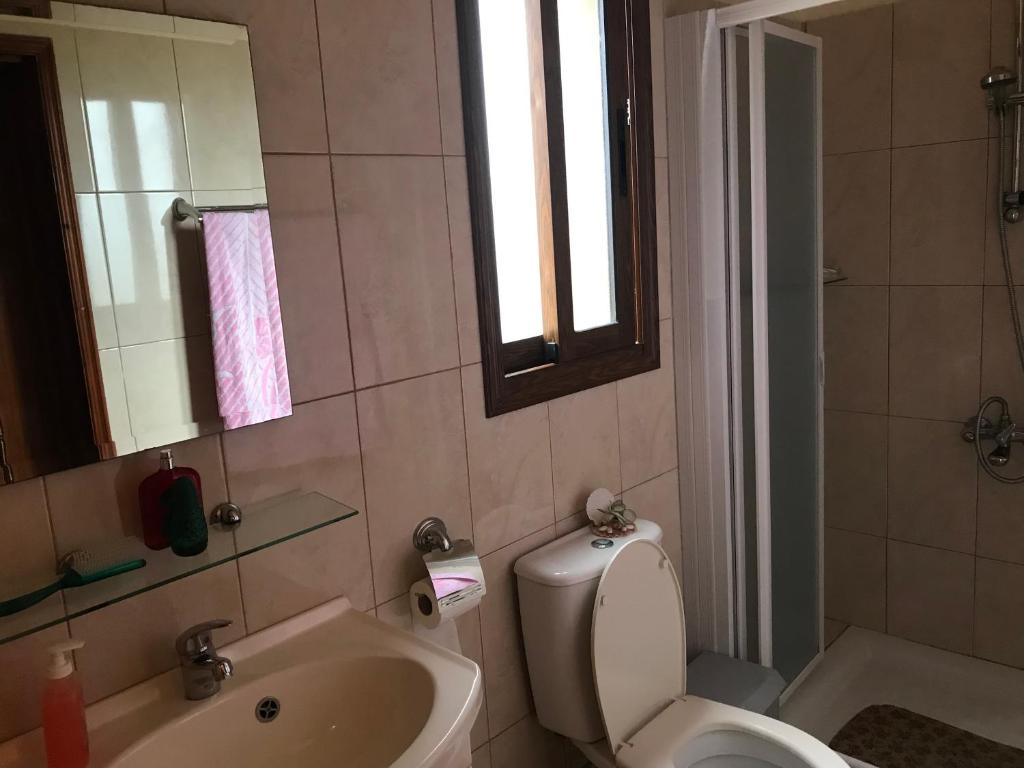 Pomos Small Sunny House 8
