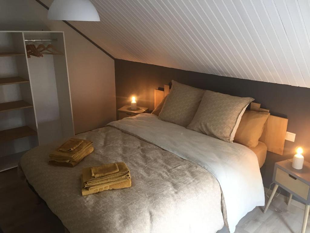 Gîte 8 à 14 personnes en Champagne avec jacuzzi 2