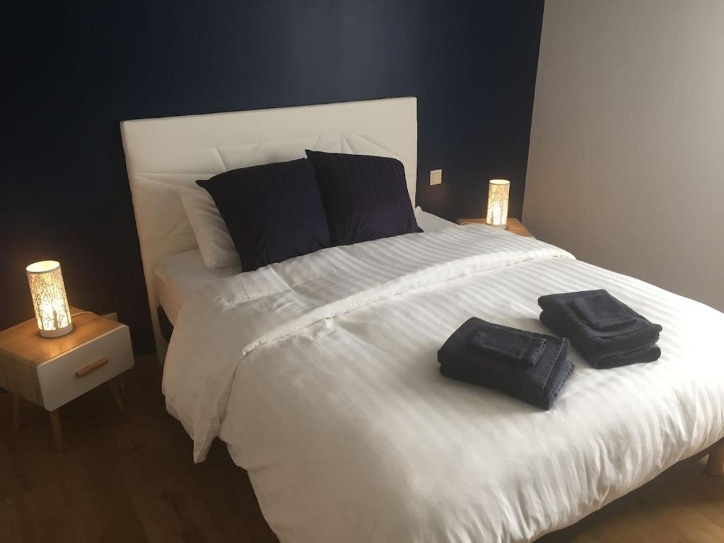 Gîte 8 à 14 personnes en Champagne avec jacuzzi 7