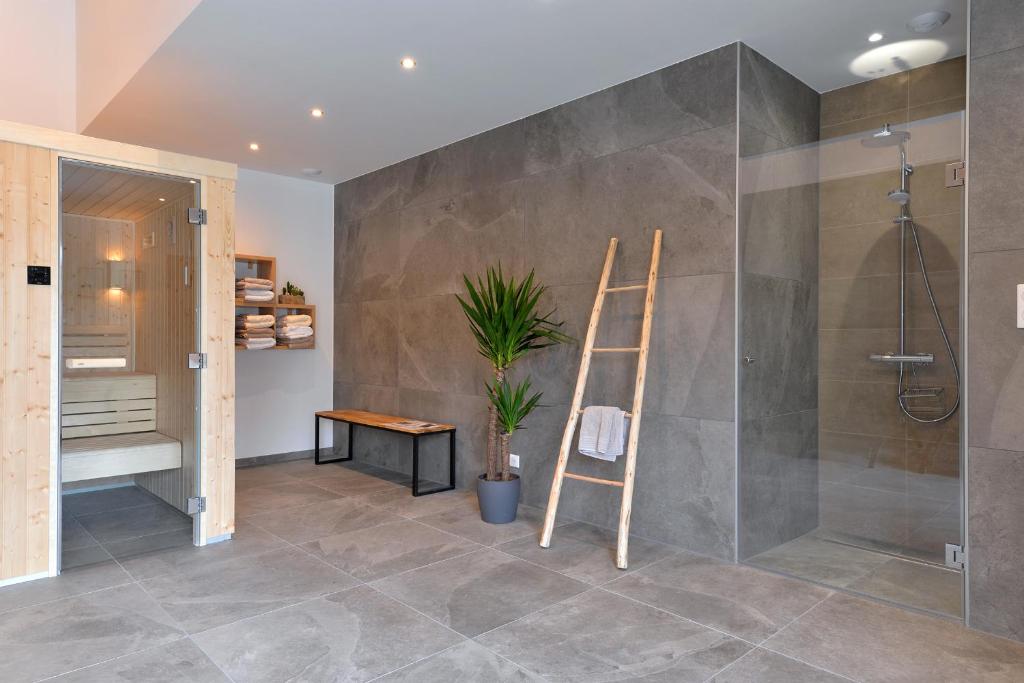 La salle de bains est pourvue d'une douche, d'une échelle et d'une plante. dans l'établissement Gîte de Munt'Z SPA, Sauna, piscine, proche de Colmar, à Muntzenheim
