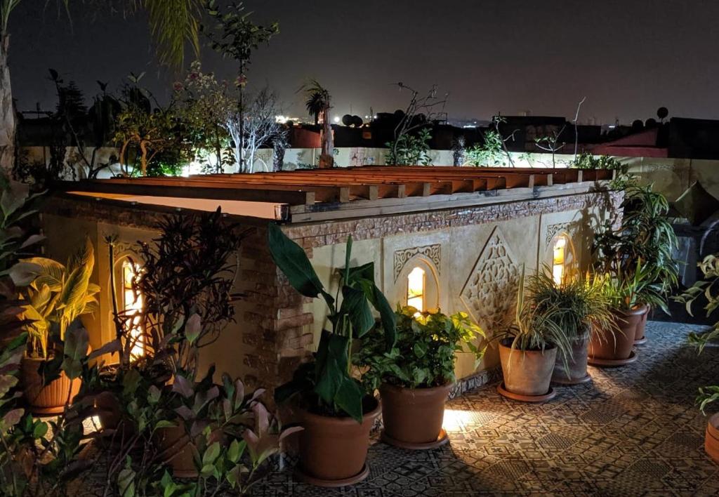 un groupe de plantes en pot sur un patio la nuit dans l'établissement The Repose, à Sale