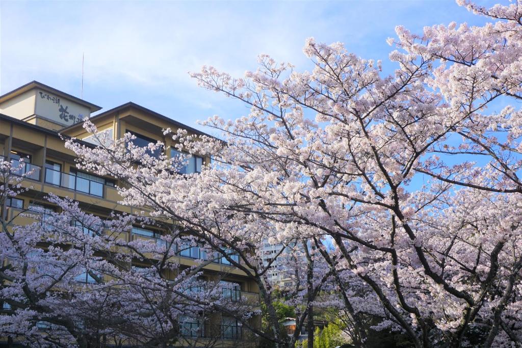 un arbre aux fleurs roses devant un bâtiment dans l'établissement Biwako Hanakaido, à Ōtsu