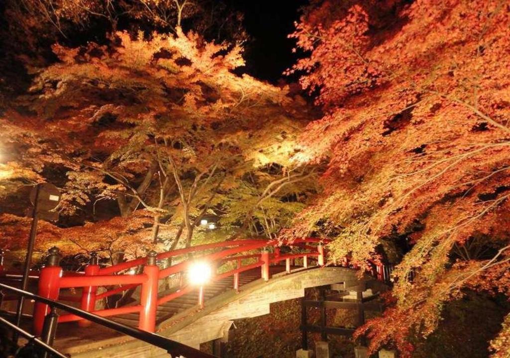 un pont rouge avec des arbres sur une montagne la nuit dans l'établissement Ikaho Syusuien, à Shibukawa 37 autres photos